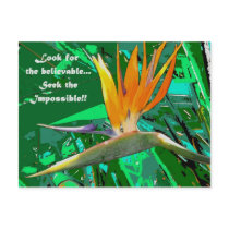 Look for... postcards