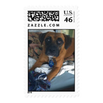 postage by jedipeter postage