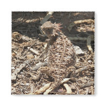 Look HOW WELL this lizard blends into the yard. magnets