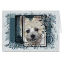 Look in Her Eyes - Cairn Terrier card
