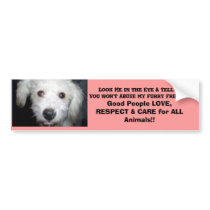 Look Me In The Eye! Doggie Message bumper stickers