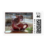 Look @ Me! Postage