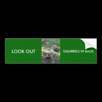 LOOK OUT, SQUIRRELS IN BACK bumper stickers by tina312 LOOK OUT, SQUIRRELS IN BACK bumper stickers