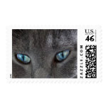 Look Stamps