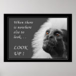Look up print