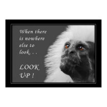 Look up posters