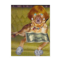 LOOK WHAT I DO FOR MONEY POSTCARD