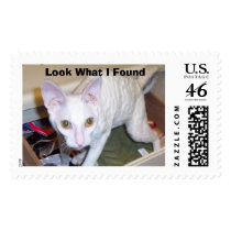  Look What I Found postage