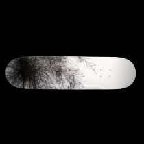 look what my cat coughed up. skateboards