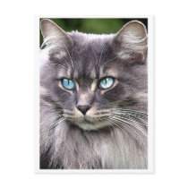 lookhatme post card