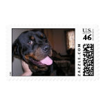Lookin' at you postage