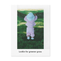 lookin over tree, Lookin for greener grass postcards