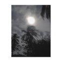 Lookin Up At the Sky In Paradise postcards