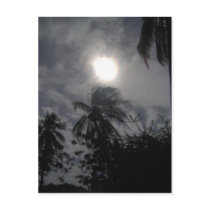 Lookin Up At the Sky In Paradise postcards