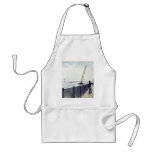 LOOKING AT CANADIAN SIDE APRONS