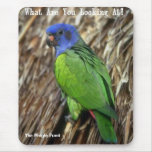 Looking at parrot, The Pidgie Fund mousepads