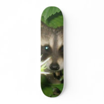 Looking at You Skateboard