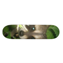 Looking at You Skateboard