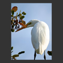 "Looking Back", Egret posters