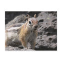 Looking for a hand-out postcards by rcooper56 Looking for a hand-out postcards