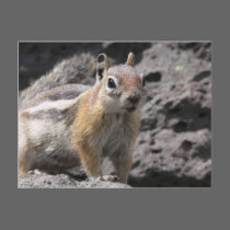 Looking for a hand-out postcards by rcooper56 Looking for a hand-out postcards