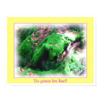 Looking for Fairies Poster posters