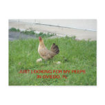 Looking for my peeps postcards