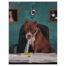 Looking for talent letterhead