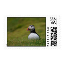 Looking for the Burrow Puffin Postage Stamps