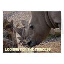 Looking for the Princess Card
