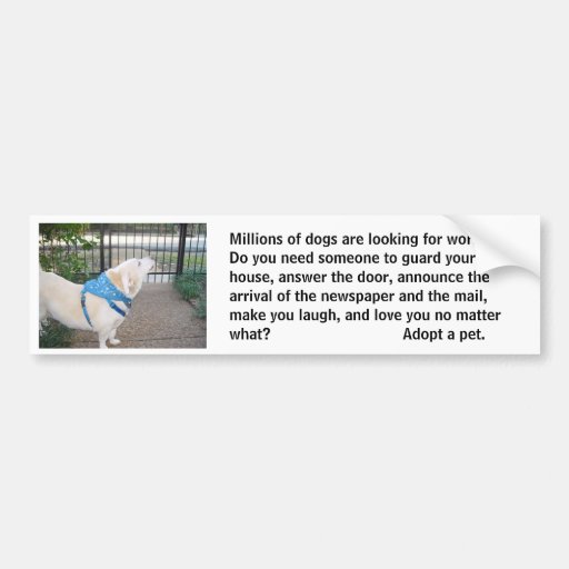 Looking for Work Bumper Sticker