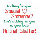 Looking for your, Someone?, Special, She's wait... t-shirts by GlendaJo Looking for your, Someone?, Special, She's wait... t-shirts