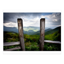 Looking Forward Post Cards