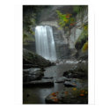 Looking Glass Falls - Customized posters