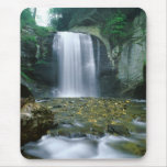 Looking Glass Falls Mouse Pads