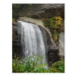 Looking Glass Falls Postcard