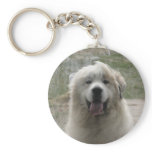 Looking Glass keychains