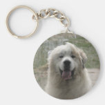 Looking Glass Keychains