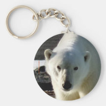 Looking into the eye of a Polar bear Key Chains