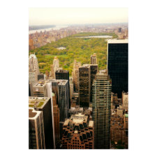 Looking Out At Central Park From Above, Medium print