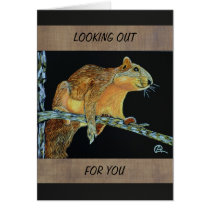 LOOKING OUT  greeting/note card