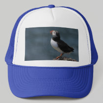 Looking Out to Sea Puffin Hat