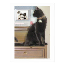 Looking Sideways Post Card