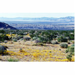 Looking Toward Town Of Twenty-nine Palms Cut Out