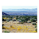 Looking Toward Town Of Twenty-nine Palms Postcard