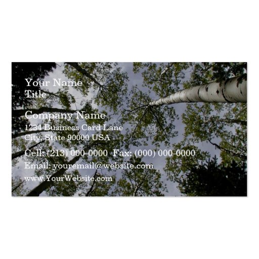 Looking Up at Aspen Trees in forest Business Cards