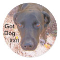 looking up., Got, Dog, ??!! stickers