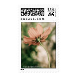 Looking Up stamps