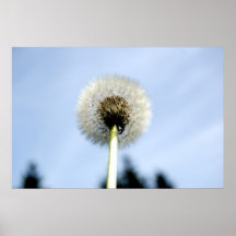 Looking up Poster
