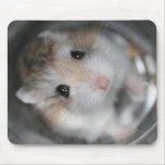 Looking up - Tac Mousemat mousepads